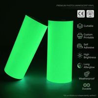 Cinta de Vinilo Fotoluminiscente Autoadhesiva de Alta Visibilidad, Imprimible con UV, Brilla en la Oscuridad, PVC/PET, para Señalización de Seguridad de Emergencia