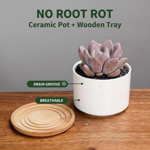 Maceta <span class=keywords><strong>de</strong></span> Cerámica Ecológica, Biodegradable, Ligera, <span class=keywords><strong>de</strong></span> Diseño Moderno y Simple, para Plantas Verdes, <span class=keywords><strong>Suculentas</strong></span> y Flores, para Uso en Escritorio - Product Image 6