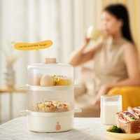 Cuiseur à œufs automatique de haute qualité, capacité 6 œufs, contrôle précis de la température, arrêt automatique électrique, cuisson souple ou dure, usage domestique, en plastique