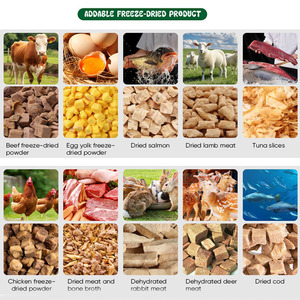 Comida seca para perros al por mayor de China, varias opciones de formas, precio barato a granel, alto favorito del cliente - Product Image 6