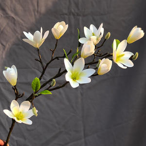 D-MG001 fleurs décoratives artificielles magnolia blanc, vraies fleurs au toucher pour centres <span class=keywords><strong>de</strong></span> <span class=keywords><strong>table</strong></span> <span class=keywords><strong>de</strong></span> mariage, décorations <span class=keywords><strong>de</strong></span> <span class=keywords><strong>table</strong></span> - Product Image 1