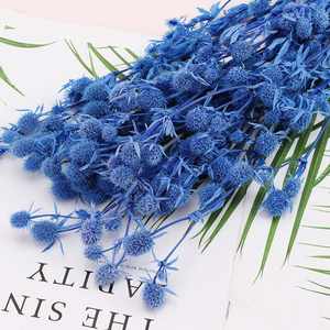 Fruit préservé de la Saint-Valentin et eryngo <span class=keywords><strong>Eryngium</strong></span> <span class=keywords><strong>foetidum</strong></span> de haute qualité les plus populaires pour la décoration intérieure - Product Image 5