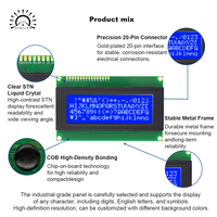 2004B LCD-Bildschirm 20x4 Zeichen-LCD-Modul Hochkontrast COB-Display für Industriegeräte in Gelb, Grün und Blau