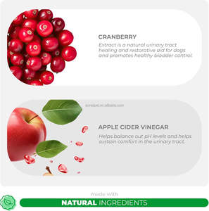 Suppléments pour animaux de compagnie Solutions OEM Traitements des infections des voies urinaires Santé des voies urinaires Produits et suppléments de soins de santé pour animaux de compagnie - Product Image 5