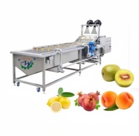 Groenten En Fruit Wasmachine Bubble Reinigingsmachine Voor Koolsla Peper Wasmachine