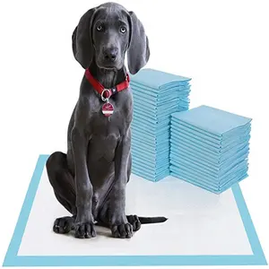 Almohadillas impermeables para entrenamiento de cachorros, almohadilla de orina desechable para perros, venta al por mayor, muestra gratis