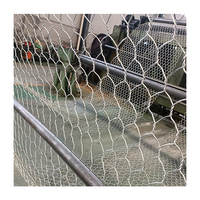Rouleau de treillis métallique hexagonal galvanisé pour poulets Cages hexagonales en PVC pour poulets et lapins Filet métallique en fer pour cage d'animaux