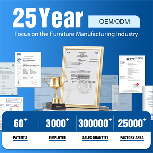 <span class=keywords><strong>Letto</strong></span> Elettrico Regolabile per Assistenza Domiciliare Anziani Rondure RT02, Struttura <span class=keywords><strong>Letto</strong></span> Ortopedico Rotante Alto-Basso per Alzarsi - Product Image 6