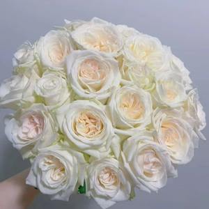 Rosas frescas cortadas de Kunming para regalo de maestro de boda o puesto de diosa directo a granel al por mayor de jardín para compra Grupal - Product Image 5