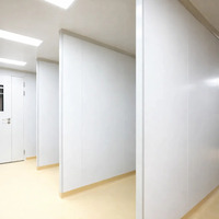 Panneau mural GloStar pour salle blanche, résistant au feu, facile à nettoyer, système modulaire pour usines pharmaceutiques, dispositifs médicaux, laboratoires