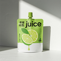 Prix usine – Emballage organique refermable de 100 ml, 120 ml, 150 ml avec logo personnalisé imprimé – Sachet pulvérisateur transparent autoportant