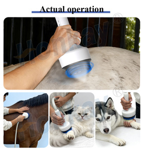 Máquina de Ondas de Choque de Último Diseño 2026 con Control Inteligente para Animales - Product Image 3
