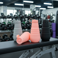 Bouteille d'eau portable pliable en silicone léger sans BPA 18OZ/500ML pour sports de plein air – En stock