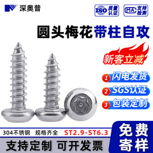 Tornillo Autorroscante Torx de Cabeza Redonda de Acero Inoxidable 304, Profundo y Resistente, Grado A, para la Industria de la Construcción, ST2.9 ST6.3 - Product Image 3