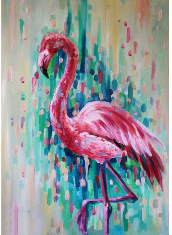 Flamingo02