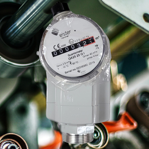 Honeywell Elster Qa25 Pn4 Compacte Aardgasmeter 25gi Handel Methaan Massa Flowmeter Dn25 Met Oem Maatwerk Ondersteuning - Product Image 3