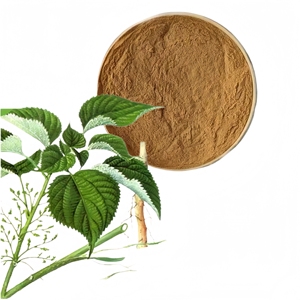 Poudre d'extrait sec de racine d'<span class=keywords><strong>ortie</strong></span> (Urticae Radix) en gros d'usine à prix avantageux - Product Image 3
