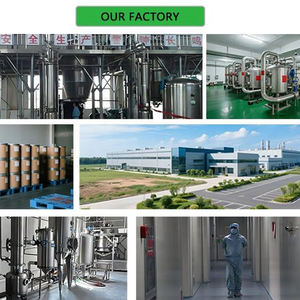 पाचन समर्थन के लिए कार्बनिक पेठक पाउडर 99% पाचन समर्थन के लिए वैक्यूम पैक कॉस्मेटिक ग्रेड कस्टम पैकेजिंग उपलब्ध - Product Image 3