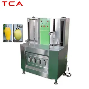 Commercial Automatic Jackfruit Melon Pineapple Peeler Pumpkin Coconut Fruit Peeling Machine for Sale