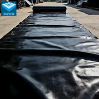 Géomembrane HDPE lisse/texturée pour bassins d'eau pluviale 0,8 mm-2,0 mm Gestion des eaux urbaines Contrôle des inondations Contrôle de l'érosion