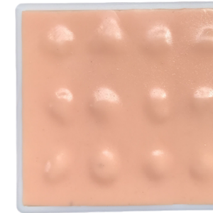 Modèle de Guideligne d'Évaluation Anatomique ADA Medical Science pour l'Exérèse des Points de Saignement Hémostatiques et des Cystes Sébacés - Product Image 6