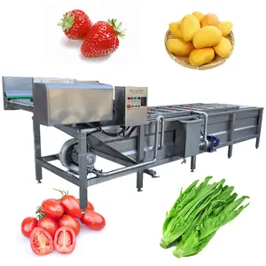 Fresh Fruit Mango Apple Cleaning Machine Air Bubble Vegetable Washing Machine