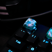 Conception personnalisée OEM, touches de clavier en résine 3D ESC RGB, design artisanal Ice Rose pour clavier mécanique de jeu DIY, matériau en résine