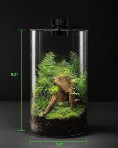 Terrario da Tavolo in Vetro con <span class=keywords><strong>Luce</strong></span> <span class=keywords><strong>per</strong></span> Coltivazione, 25 cm (9.8 pollici) H, <span class=keywords><strong>per</strong></span> Piante, Succulente, Muschio, Mini Giardini, Acquari <span class=keywords><strong>per</strong></span> Pesci Betta, Coltivazione Funghi - Product Image 2