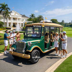 Voiture électrique de tourisme rétro élégante ZOWN, entretien facile, idéale pour les châteaux, hôtels, tourisme culturel et services de réception - Product Image 1