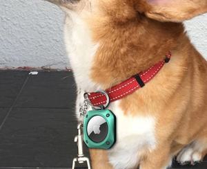 Cool Armor <span class=keywords><strong>Rugged</strong></span> Air Tag Holder Hard PC TPU Anti-Scratch Air Tag Case Cover Tracker Key Ring <span class=keywords><strong>Dog</strong></span> <span class=keywords><strong>Collar</strong></span> Air Tag Case - Product Image 2