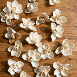 Flores Secas Cósmicas, Resina Artesanal, Flores de Magnolia Blancas, Decoración Interior y Exterior para Bodas, Sala de Estar, Todas las Estaciones - Product Image 1