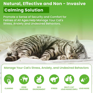Kit <span class=keywords><strong>diffuseur</strong></span> apaisant de phéromones pour chats, écologique et efficace, pour soulager l'anxiété des chats, 2 diffuseurs + 4 recharges de 48 ml - Product Image 6