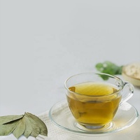 100% Daun Graviola Alami Segar dari Tanaman Liar, Buah Guanabana, Teh Tisane, Daun Sirsak, Teh Daun Sirsak Mentah, Sachet