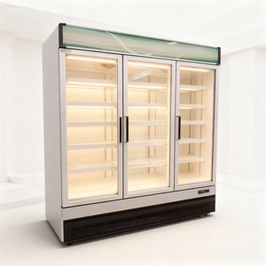 Réfrigérateur Vitrine à Porte Simple en Verre, Refroidissement Direct Électrique, Armoire Réfrigérée pour Boissons, Utilisation Extérieure, Camping-Car, Maison - Product Image 3