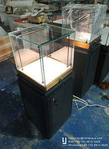 Vitrine transparente de qualité muséale utilisant du verre anti-reflet pour éliminer les éblouissements et améliorer la visibilité - Product Image 4