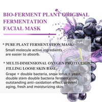 G Hot Sell Private Label Raisins Plant Original Fermentation Mask Korean Skincare De-Rides Raffermissant Hydratant pour les soins du visage