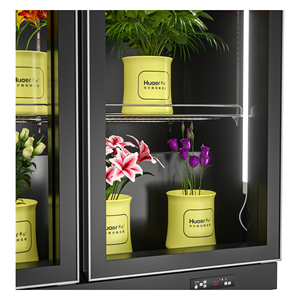 Réfrigérateur de présentation pour fleurs, congélateurs de présentation, armoires réfrigérées de présentation, réfrigérateur à fleurs d'<span class=keywords><strong>occasion</strong></span> - Product Image 5