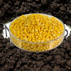 Fertilizante soluble en agua <span class=keywords><strong>de</strong></span> calcio y <span class=keywords><strong>magnesio</strong></span> Premium <span class=keywords><strong>para</strong></span> paredes celulares más fuertes Calidad mejorada <span class=keywords><strong>de</strong></span> la fruta Mejora la vida útil - Product Image 4