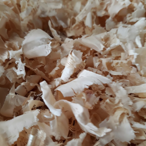 Rasage du bois pour la literie de cheval-Fournisseur du Vietnam avec des prix bon marché - Product Image 1