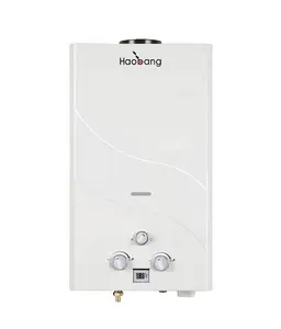 Calentador de agua de Gas LPG para ducha del hogar, nuevo diseño, alimentado por batería, 6L, 10L, 12L, instantáneo, SIN depósito