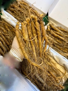 Khô Nhân Sâm Gốc Toàn Bộ Trung Quốc Thảo Mộc Panax Trà Bán Buôn Cho Người Đàn Ông Sức Khỏe Nhân Sâm Đỏ Nguồn Gốc Hàn Quốc Đen Nhân Sâm - Product Image 5