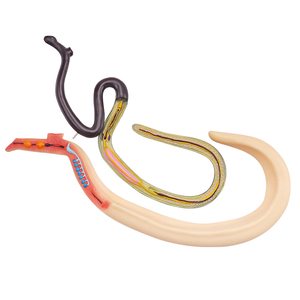 Insecto sediento de sangre de plástico agrandar modelo anatómico equipo educativo modelo de parásito esquistosoma sangre Flukes modelo médico - Product Image 1