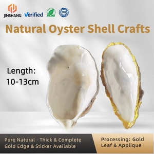 Coquilles d'huîtres naturelles à bord doré de qualité export |   Coquilles à bords dorés nettoyées et polies pour l'approvisionnement professionnel B2B - Product Image 2