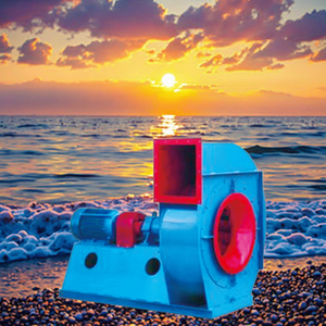 Sopladores de aire de ventiladores de tiro forzado centrífugos de alta presión OEM de acero inoxidable de fabricante de China para arroz de paja de trigo de maíz de grano - Product Image 3