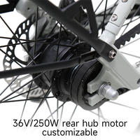 Bicicleta Eléctrica Urbana TXED 36V 250W sin Escobillas, Batería de Litio de 9.8Ah, Freno de Disco Hidráulico, Una Velocidad, 700C, PAS