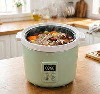 Mini-cuiseur à riz électrique individuel 1L, modèle R29/R31, 230W/300W, idéal pour les dortoirs