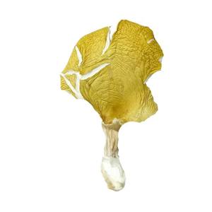 Detan <span class=keywords><strong>Prix</strong></span> de gros <span class=keywords><strong>chanterelles</strong></span> séchées en vrac de haute qualité - Product Image 4