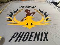 Tapis de ring de boxe professionnel, tapis de ring épaissi antichoc, surface en toile antidérapante, tapis de ring pour centre de fitness et entraînement