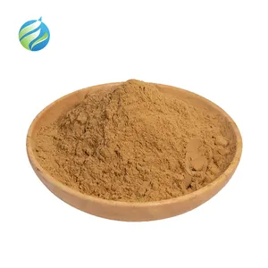 wholesale 2% 10% Ajuga Turkestanica Extract 100% Pure Turkesterone Powder