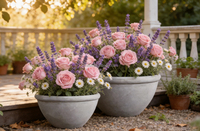 Pots de fleurs en gros, grands pots à plantes d'extérieur à large ouverture, ensemble de pots décoratifs pour parcs